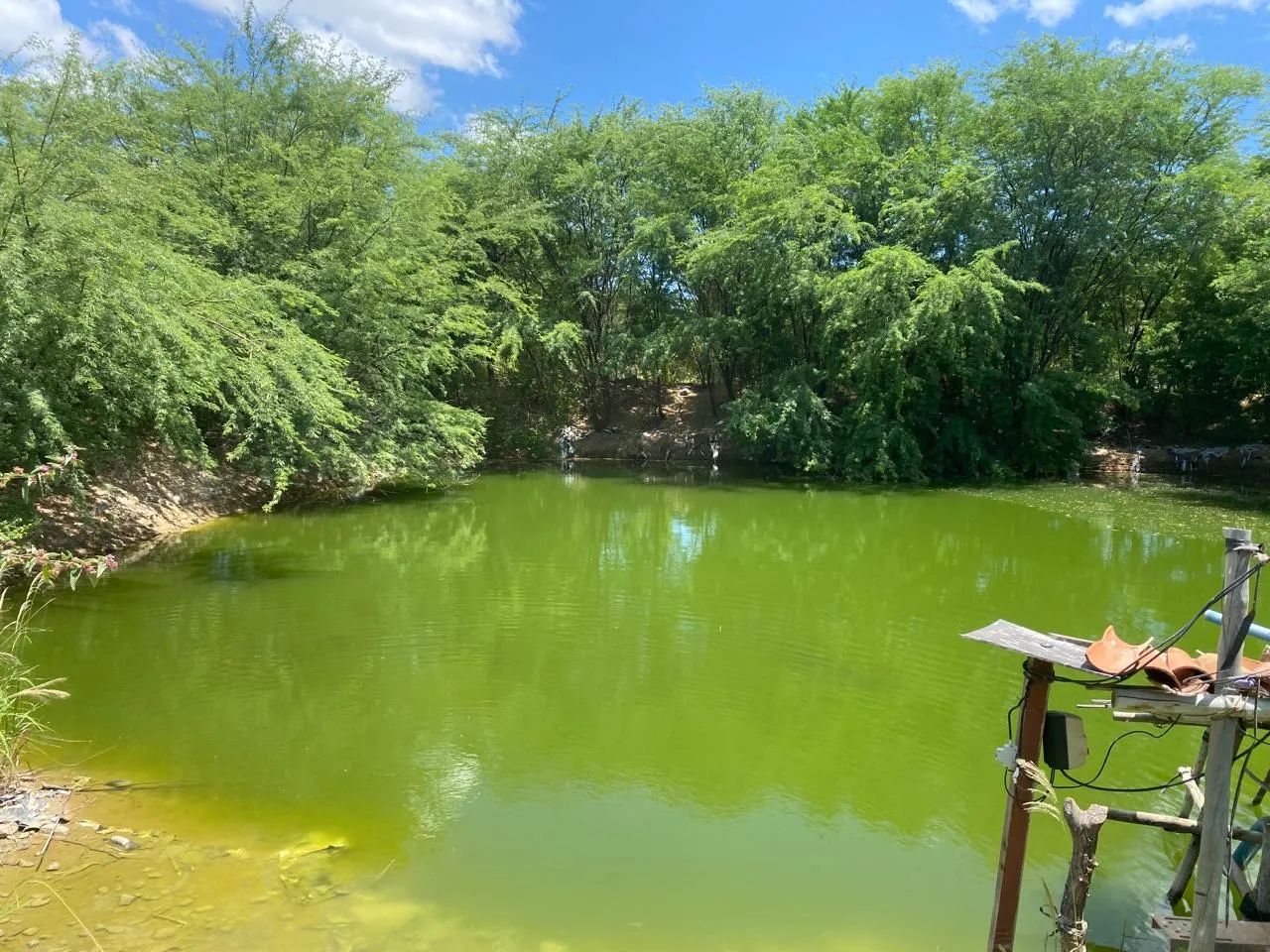 Foto - Juazeiro - Pedra do Lord