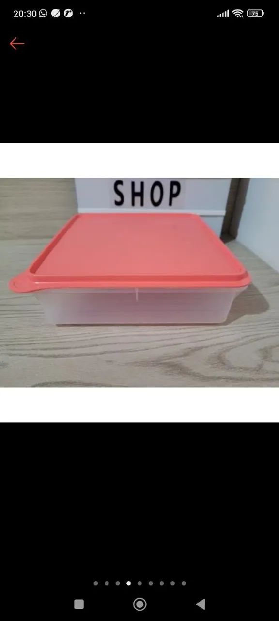 Conjunto de 2 potes para congelar alimentos - Foto 3