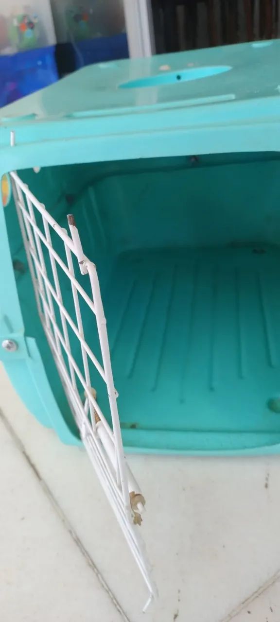 BOX transporte de animais