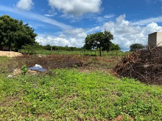 Terreno à venda: Sítio Escondido, Missão Velha CE, 3km de distância do centro. - Foto 2