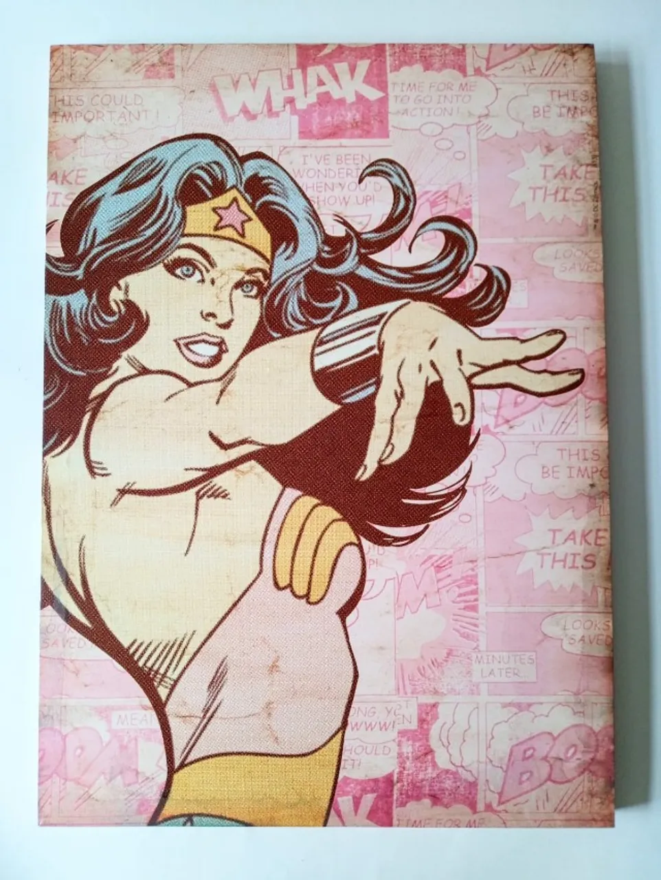 Quadro Decorativo Grande Mulher Maravilha DC Comics