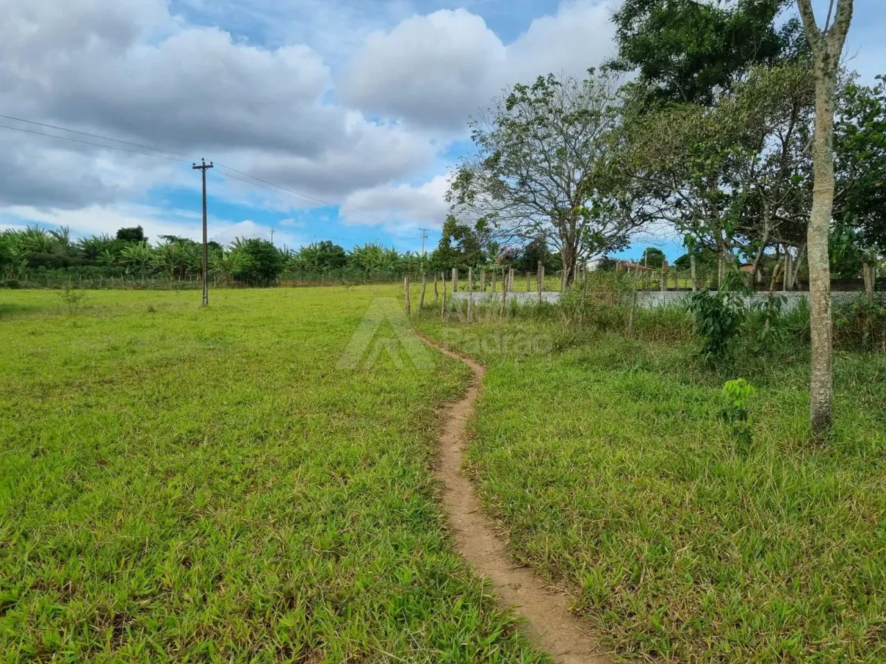 14 HECTARES EM CARUARU - PE - Foto 4