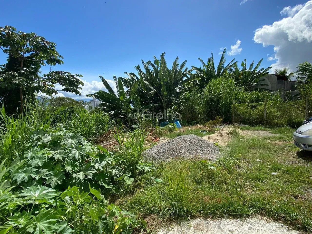 Imóvel para venda com 379 metros quadrados em Agronômica - Florianópolis - SC - Foto 2