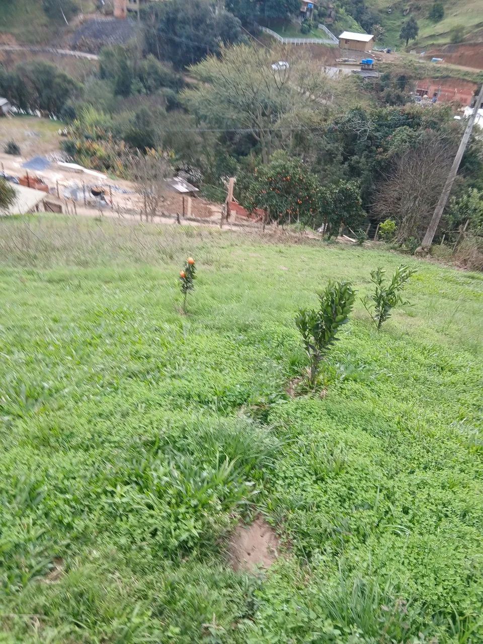 Vendo área Alfredo Wagner 500m² - Foto 4