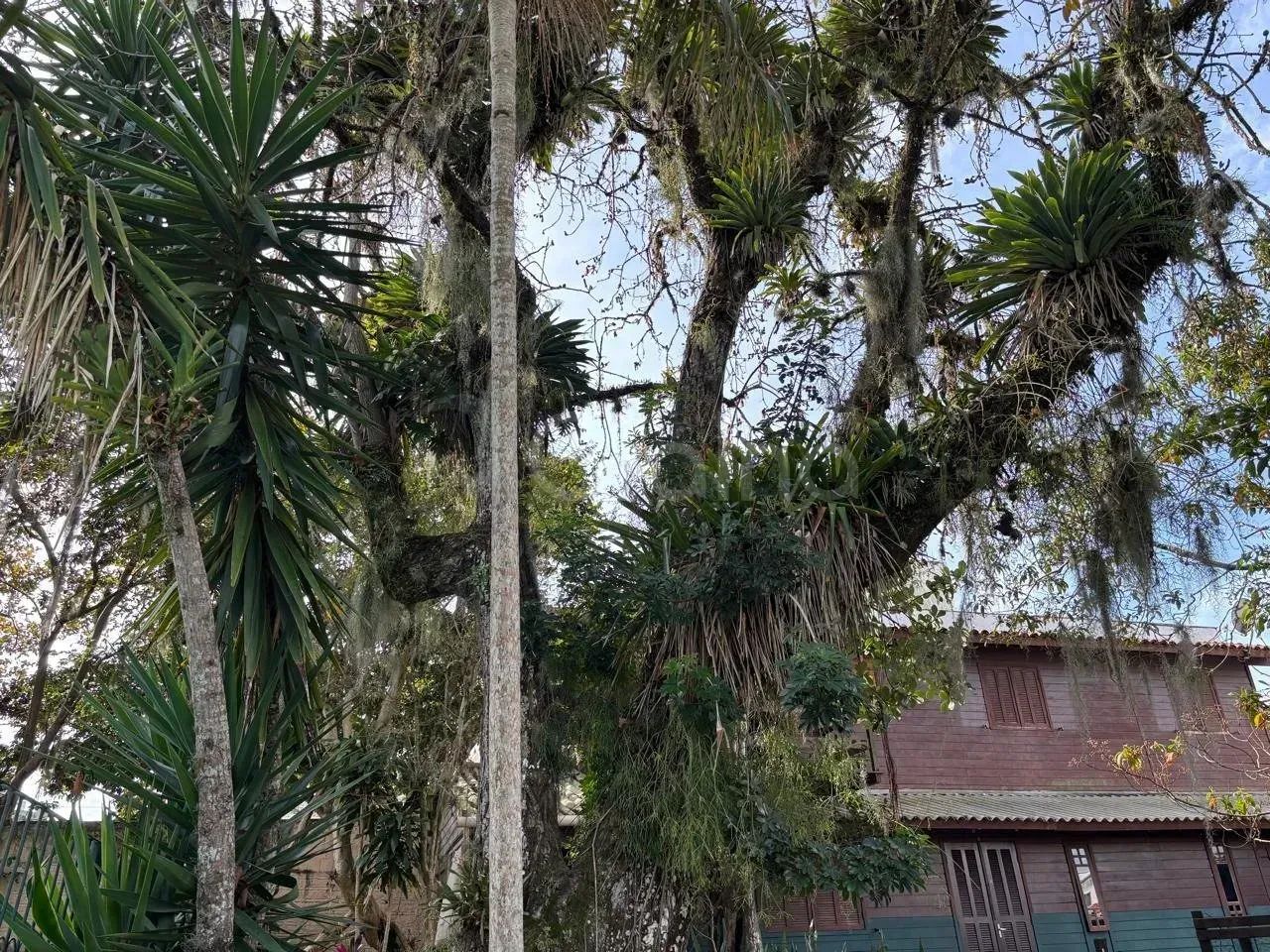 Imóvel para venda com 817 metros quadrados em Trindade - Florianópolis - SC - Foto 4