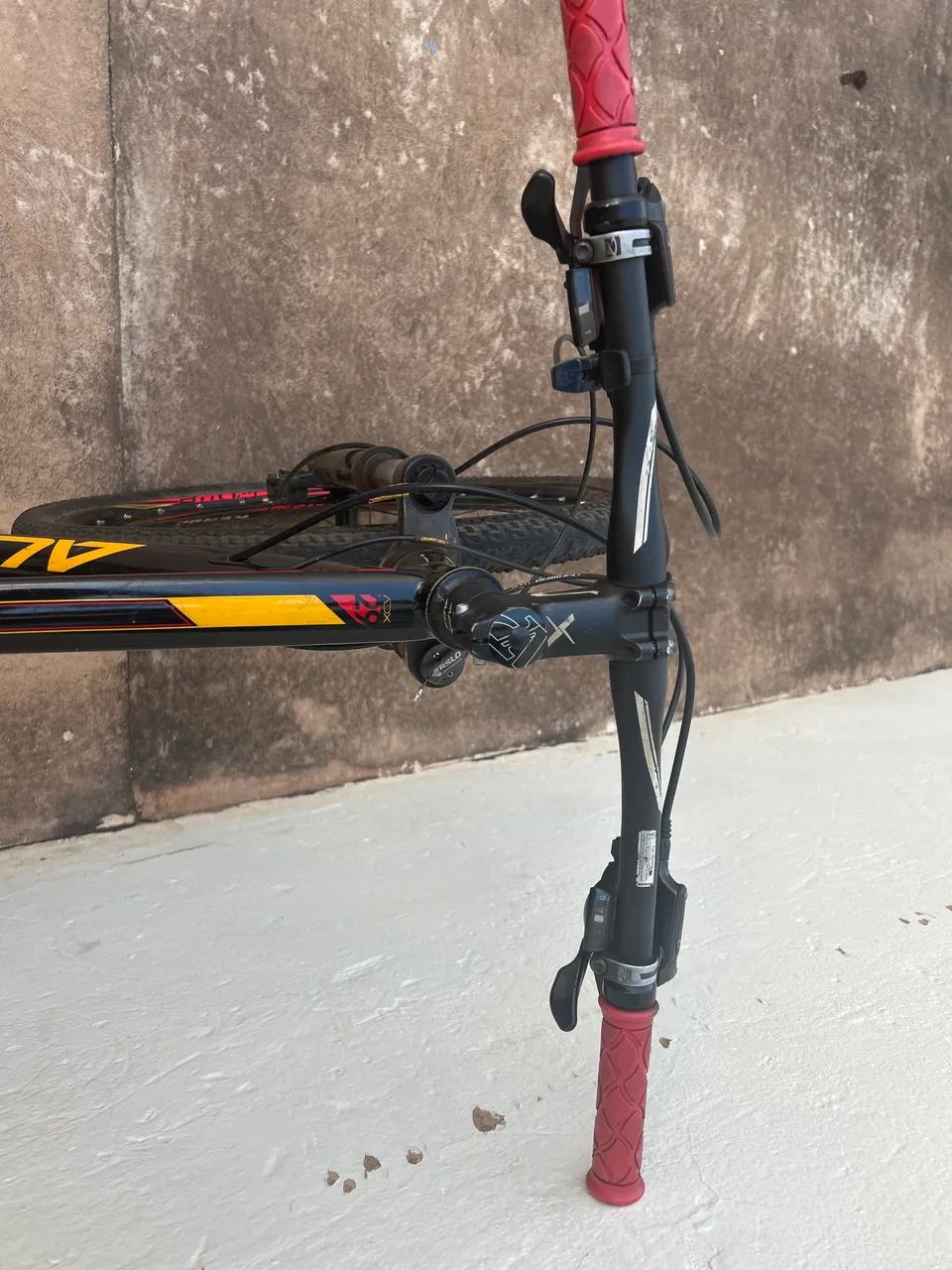 Audax 100x  - Foto 3