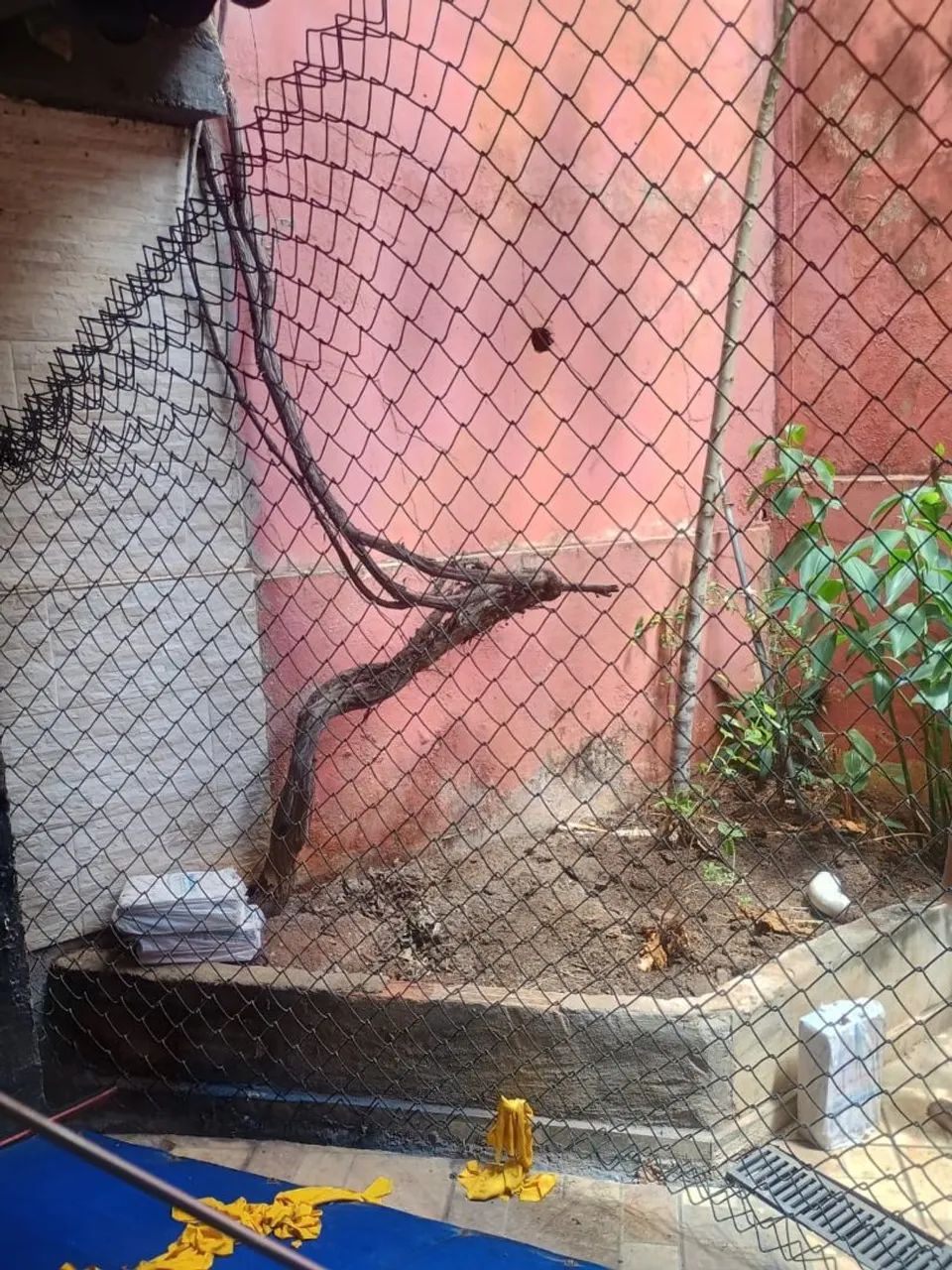 Tela de octógono  - Foto 3