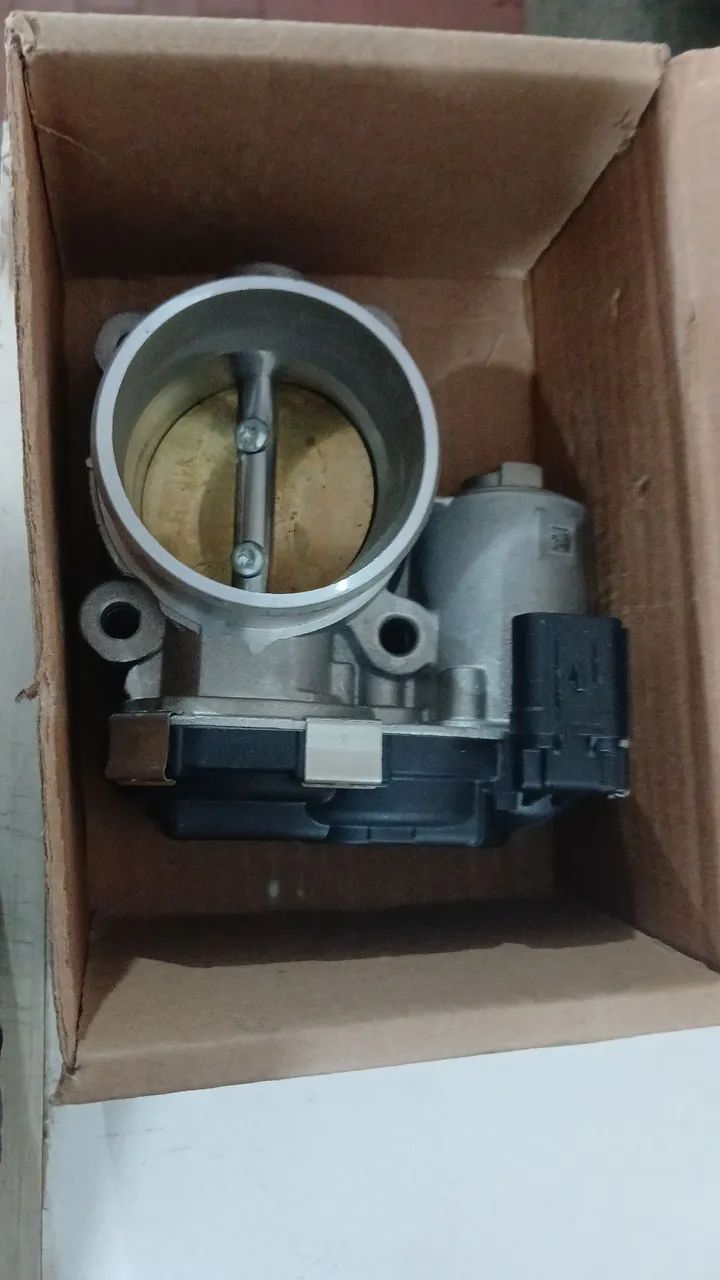 Corpo de borboleta 