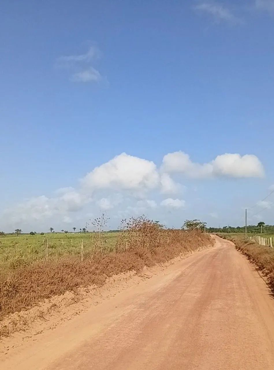 Fazenda na BR 010