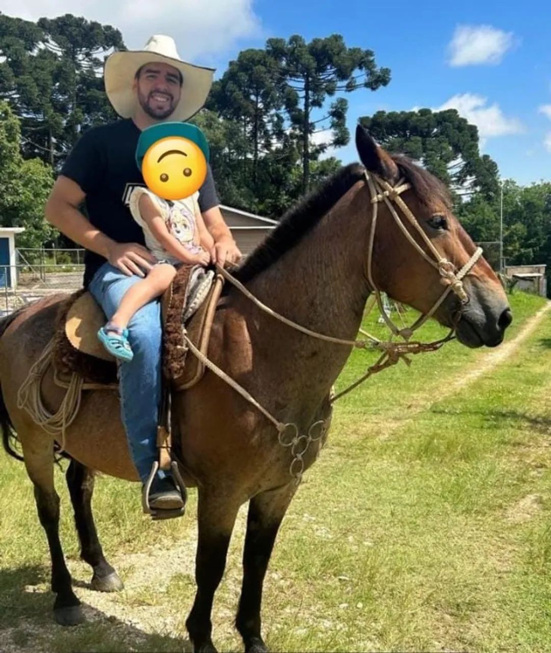Cavalo crioulo - Foto 3