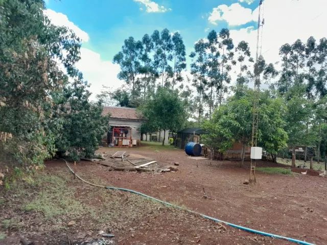 Chácara á venda - Paiçandu   - Foto 3