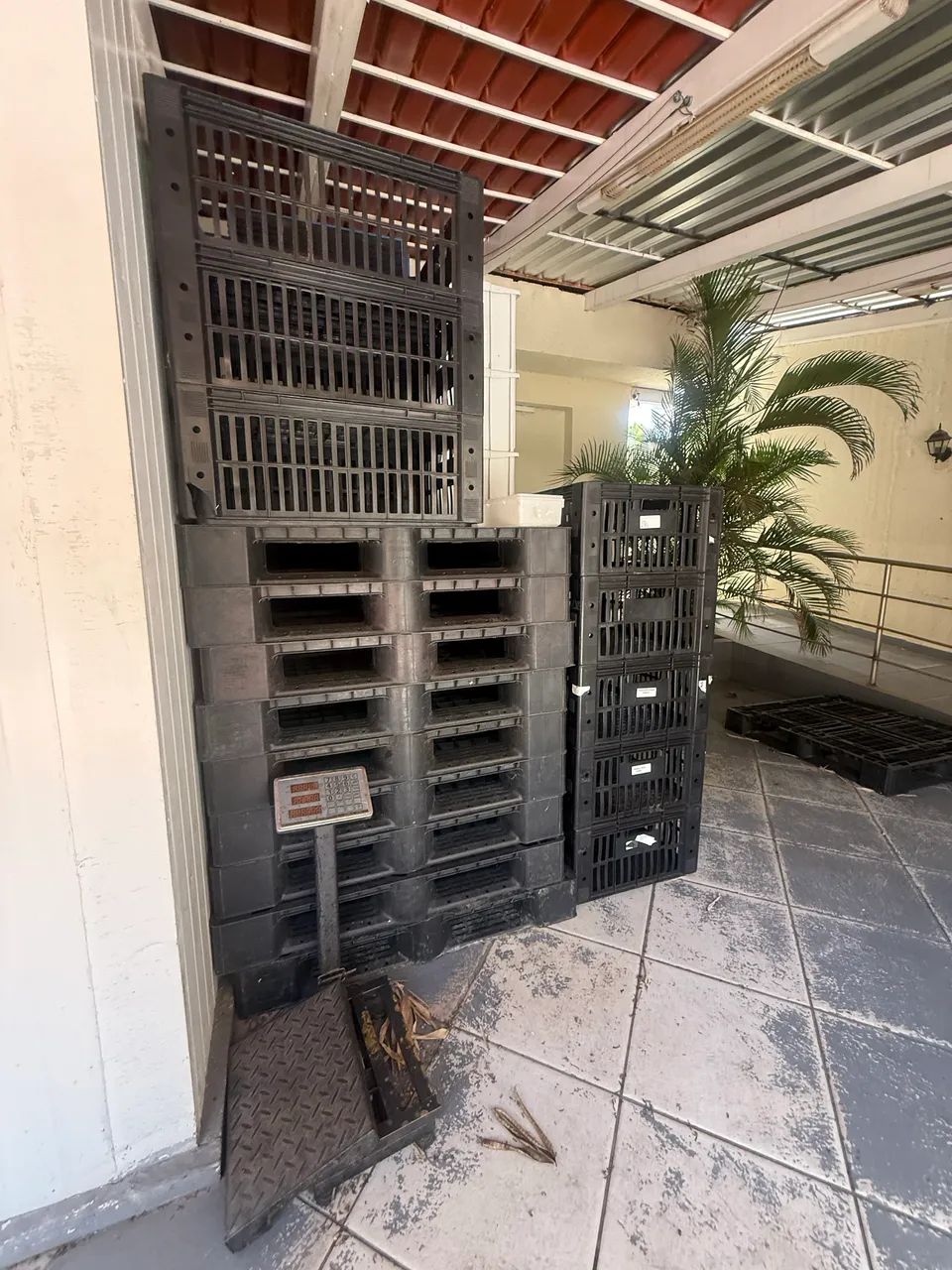 Pallet plástico  - Foto 2