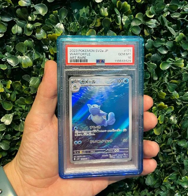 WARTORTLE PSA 10 JPN #171 2023 POKEMON 