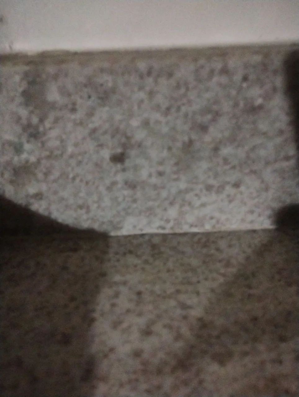 Cuidar de idosa