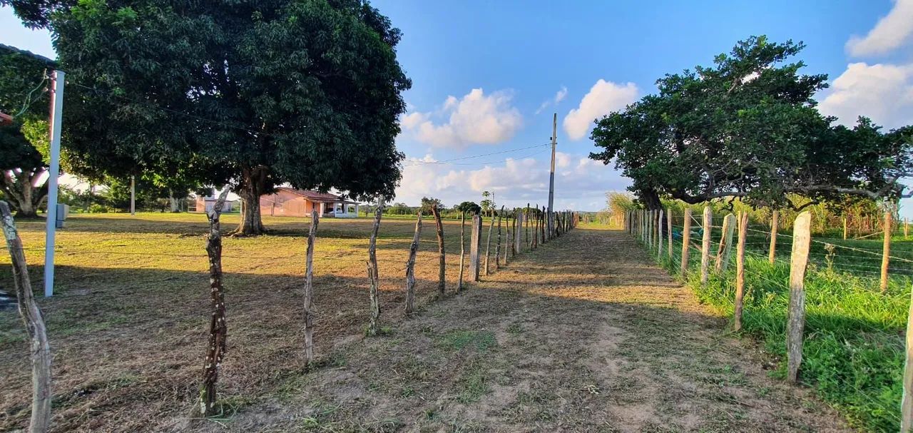 Sitio no interior - Foto 4