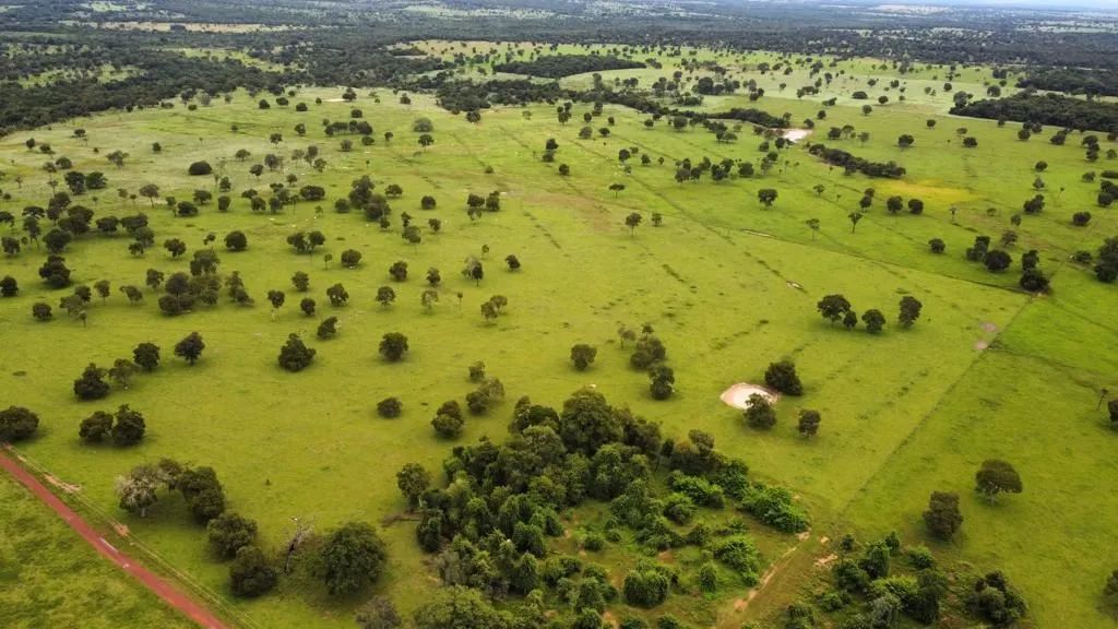 Fazenda 164 Alqueires Extra! - Foto 4
