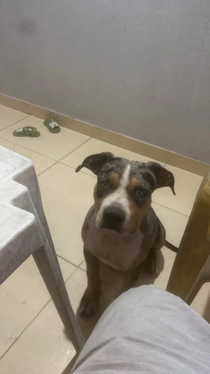 Pit monster