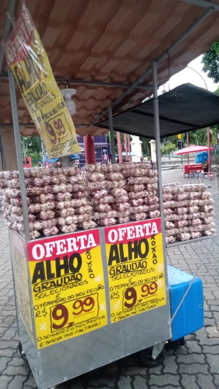 Carrocinha - Foto 2