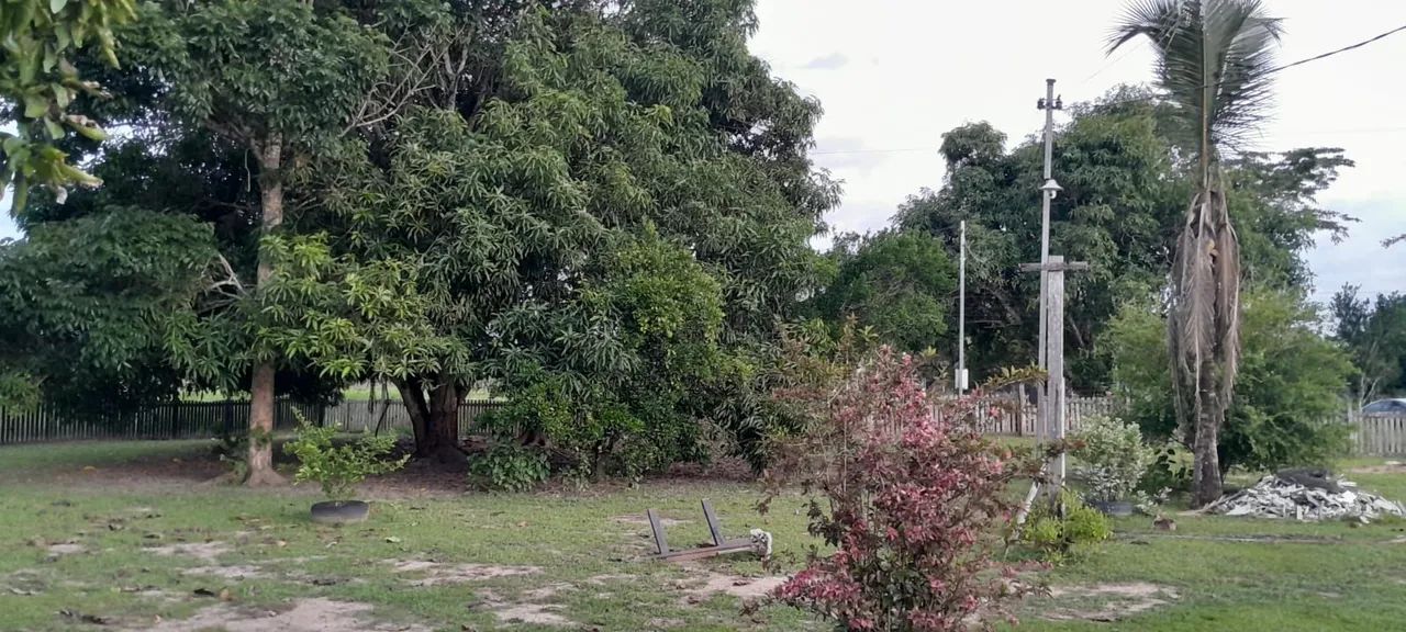 Vendis está chácara  - Foto 2