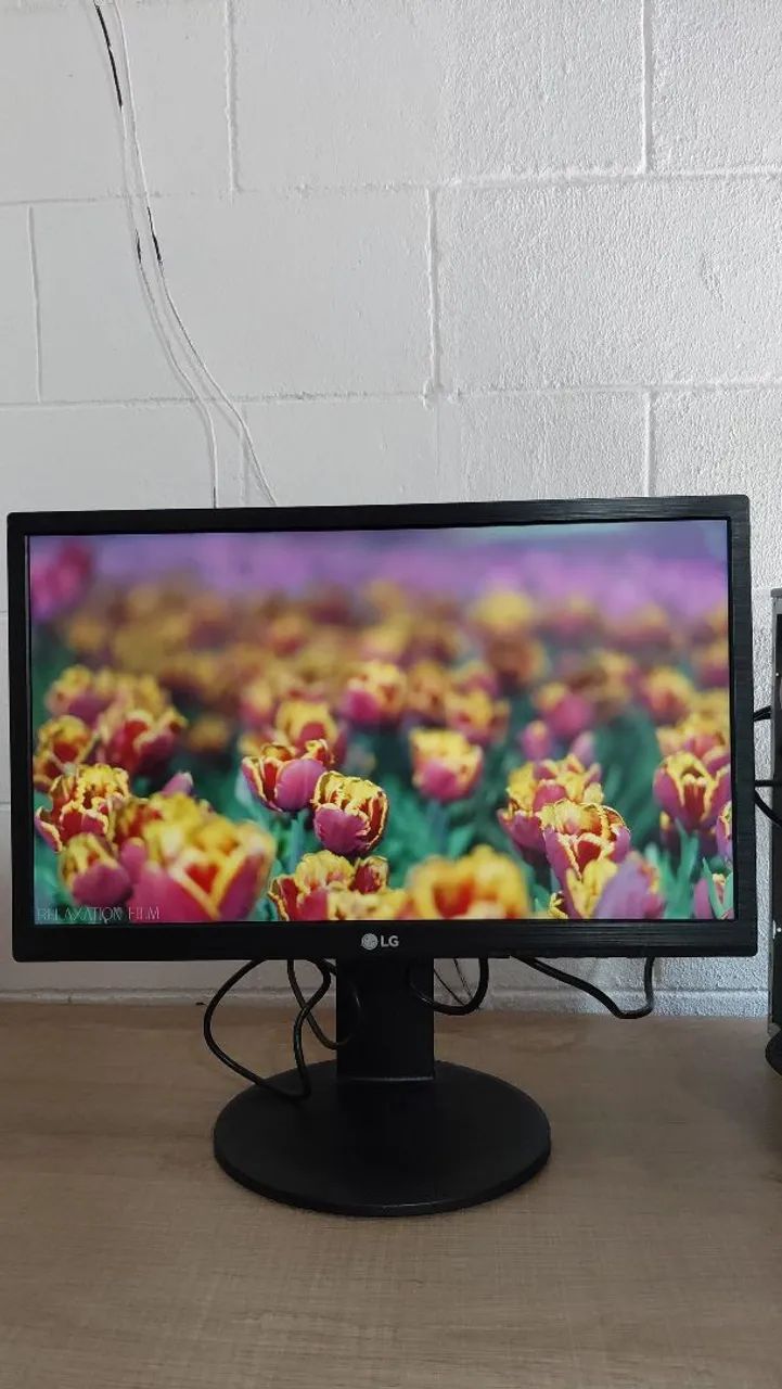 Monitor LG 22 Polegadas" Full HD com HDMI | Tela LED!