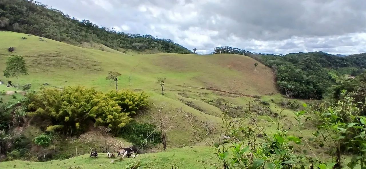 Propriedade marechal floriano 17 henquitares 