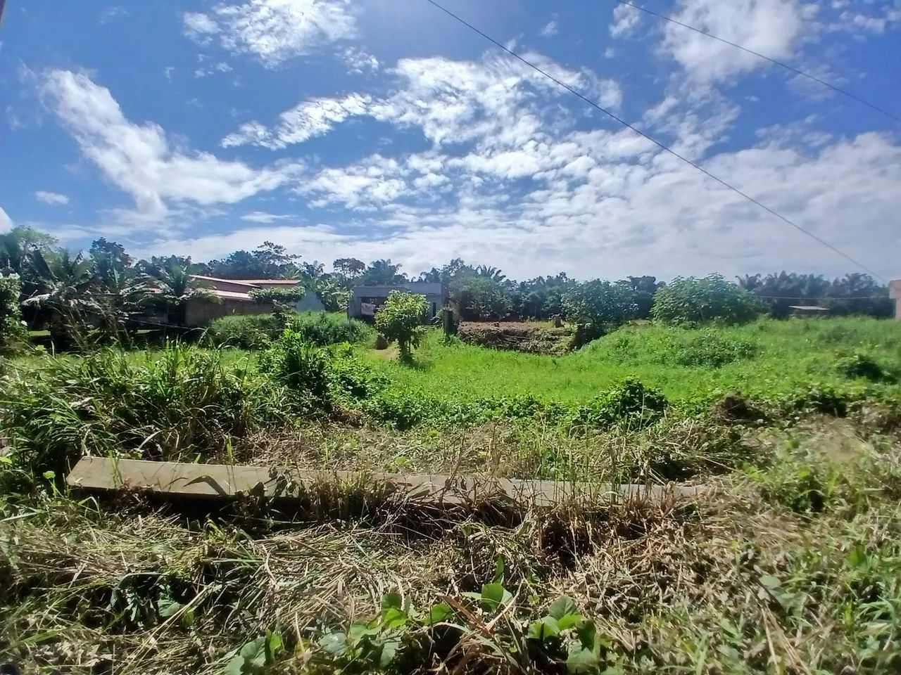 Terreno a venda Abaetetuba  - Foto 2