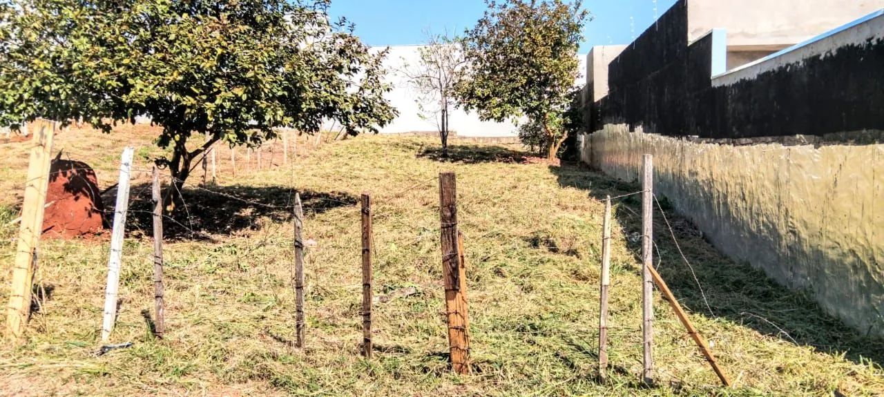 Terreno 