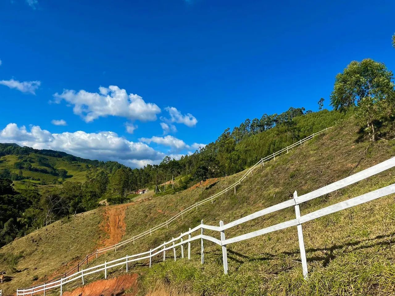Vendo Chácara  - Foto 4