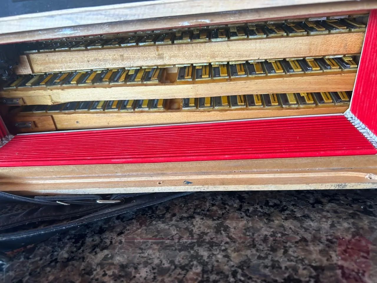 Acordeon Dolphin 120 baixos - Foto 5