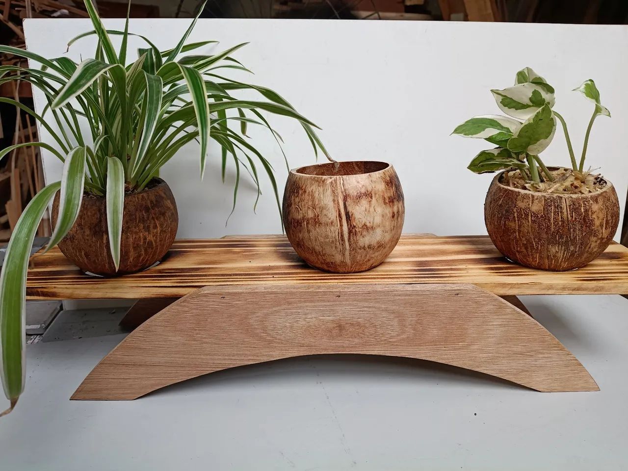 Lindo suporte para plantas modelo 3 coquinhos. - Foto 3