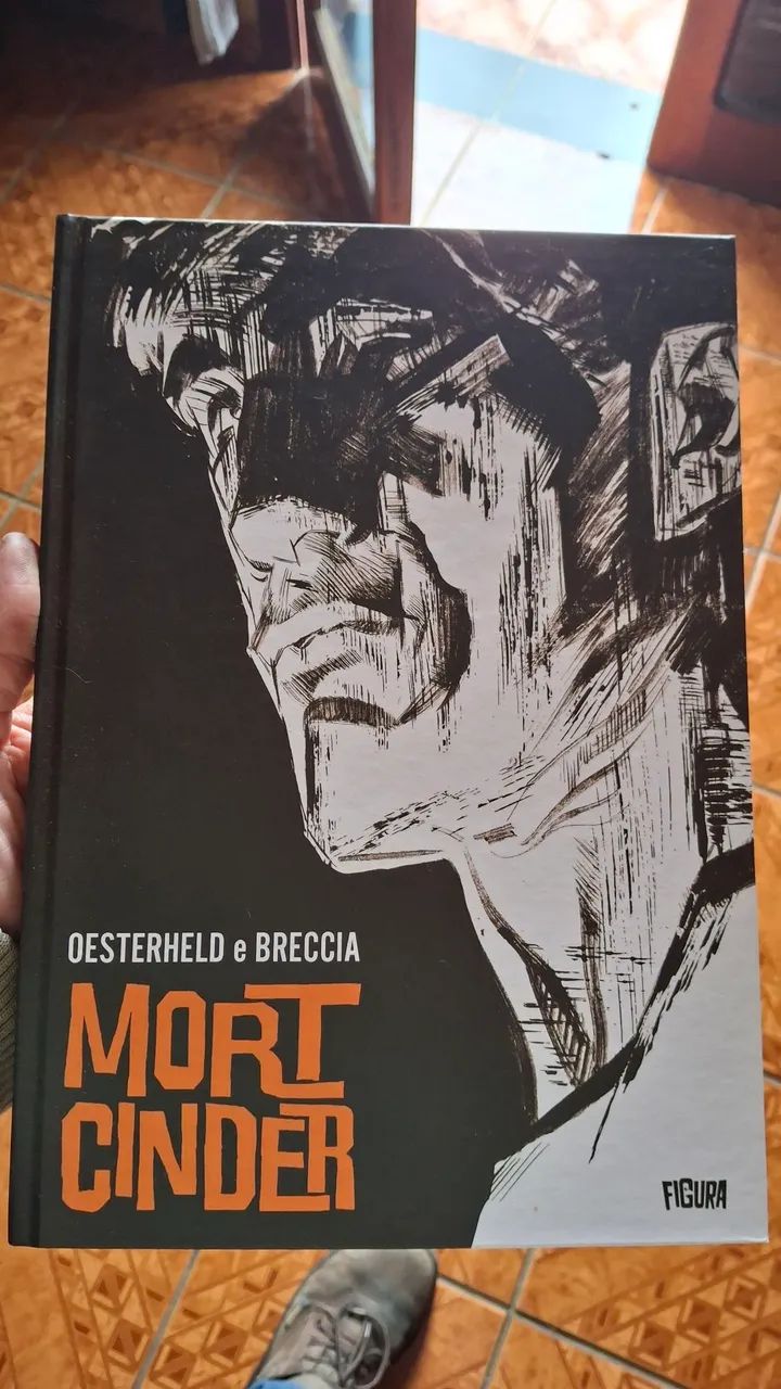 Mort cinder