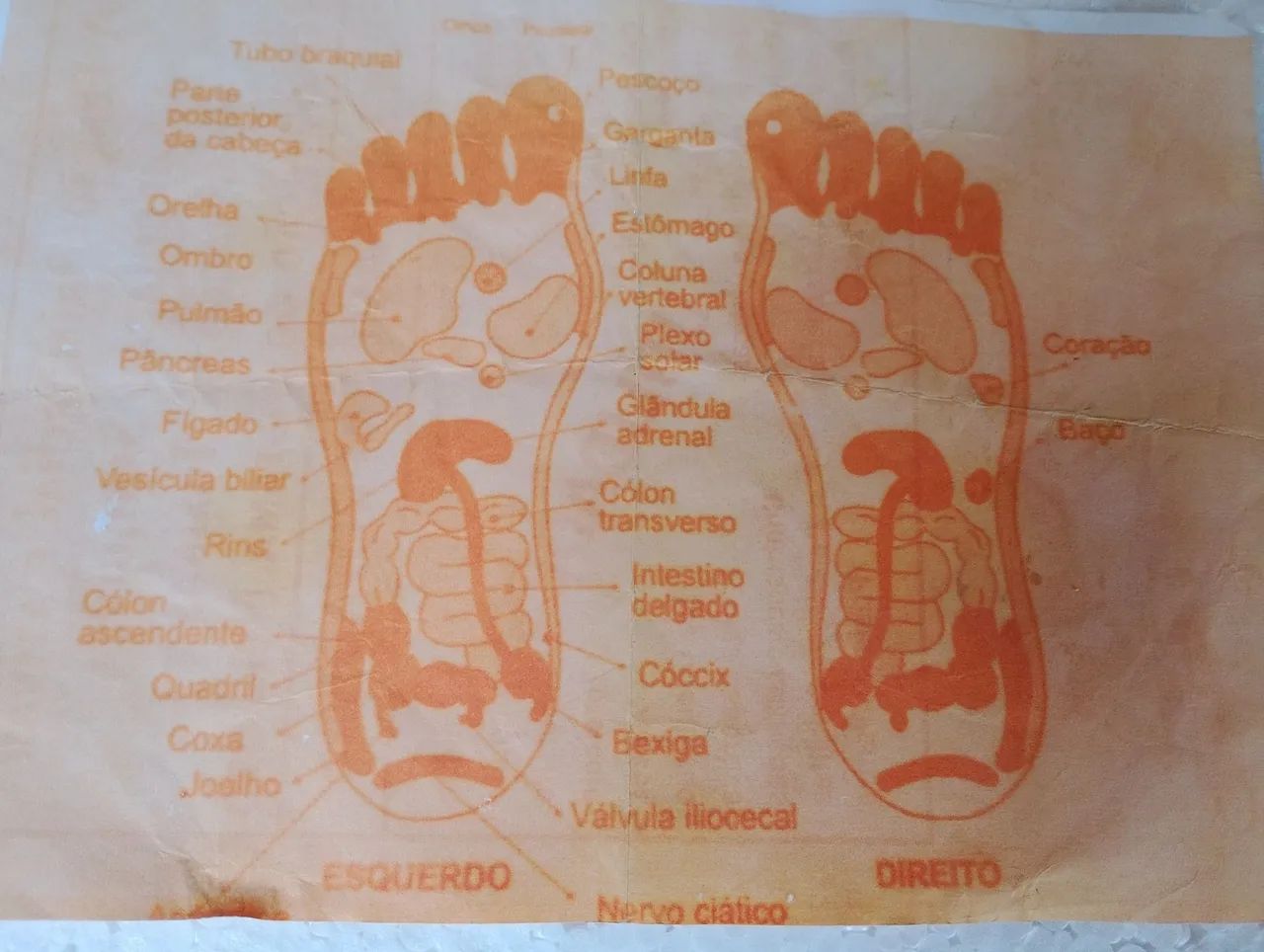 Massageador Profissional - Foto 4