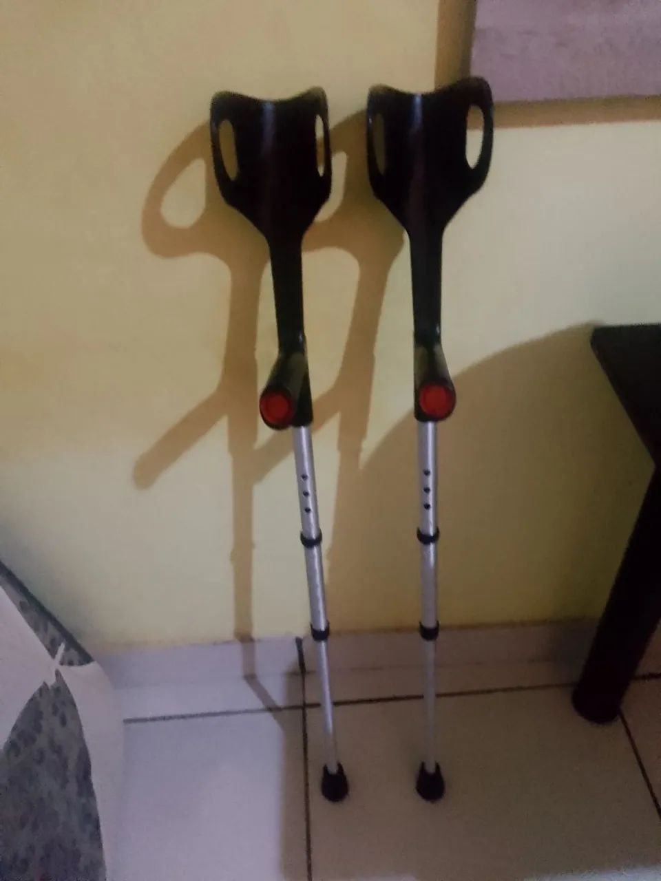 Moletas canadense  - Foto 2