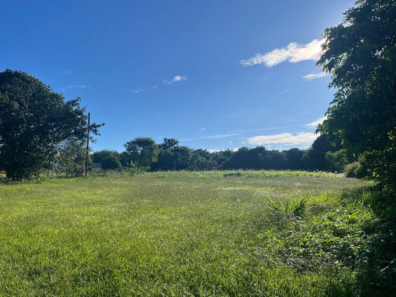 Foto - Goiânia - Sítio de Recreio Paraíso Tropical