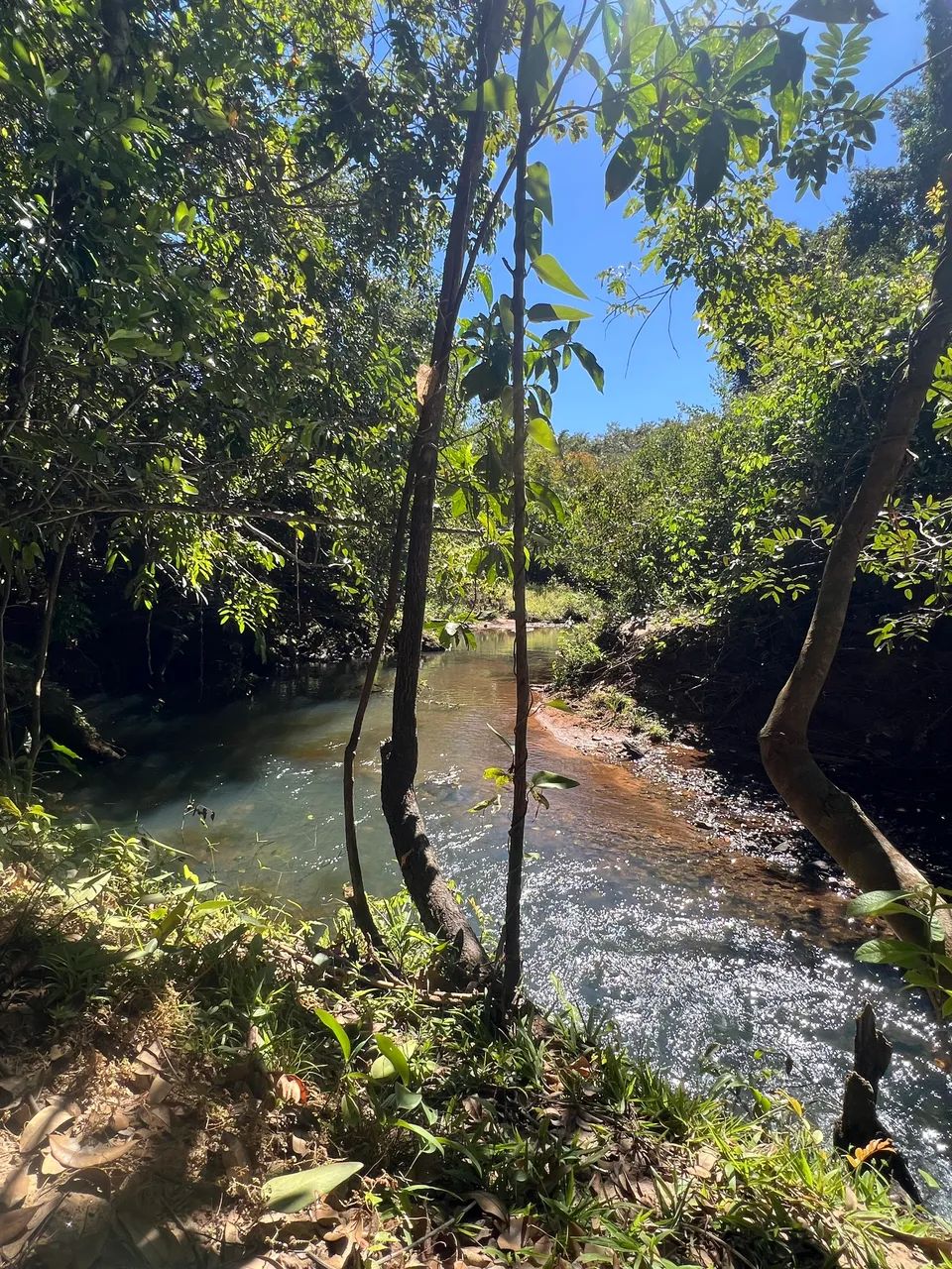 Chácara com Rio na zona urbana de Pirenópolis 