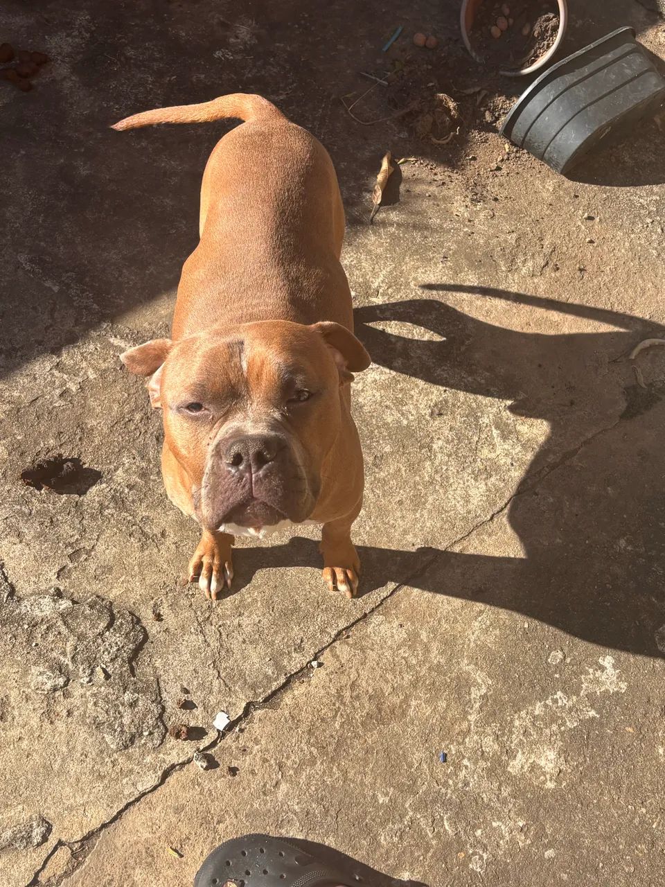 Doaçao - Foto 4
