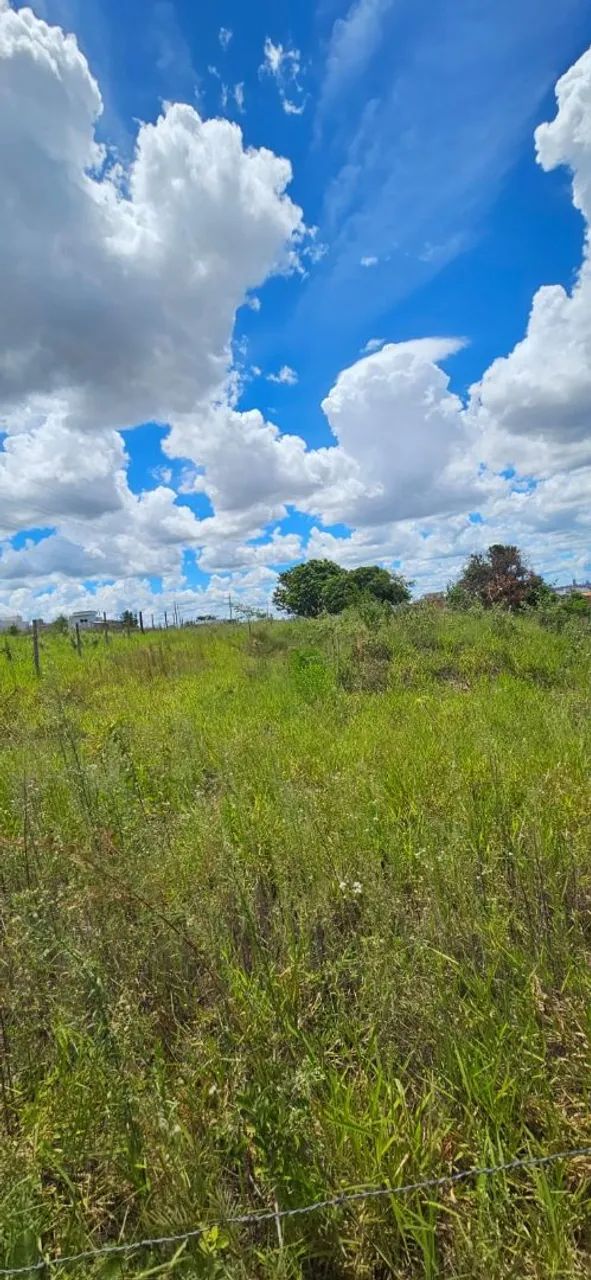 TERRENO EM TERRAS DE IMOPLAN - 750M² - Foto 5