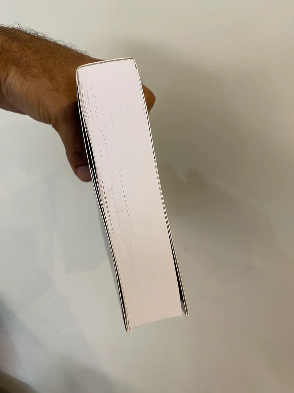 Livro Proteção de Dados Pessoais e Compliance Digital - Foto 5