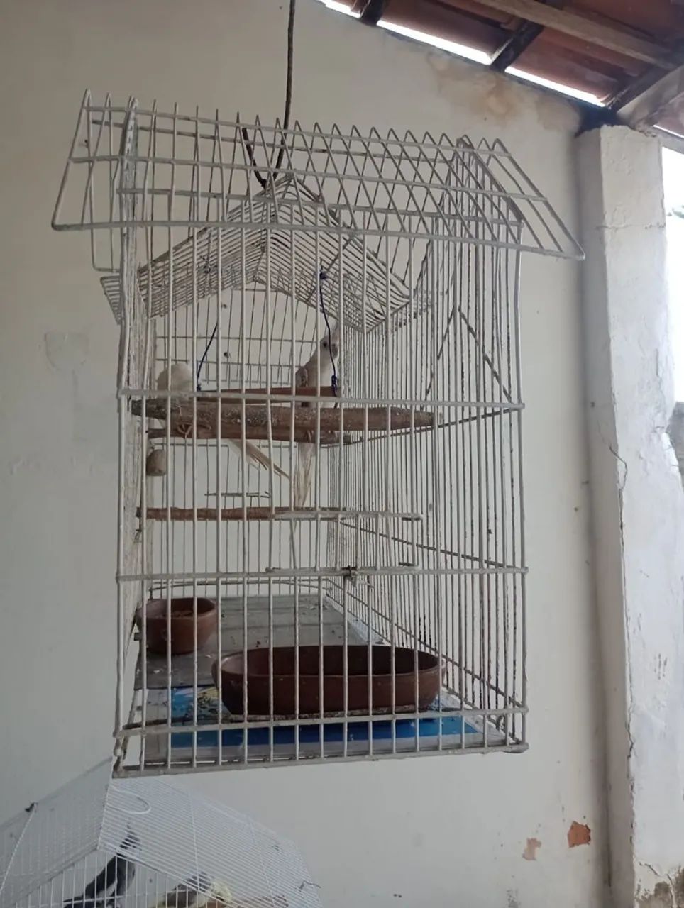 Gaiola - Foto 2
