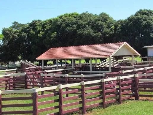 Construtor Pecuaria MS - Foto 4