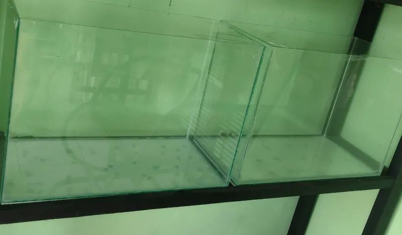 Aquário de 43L. NOVO! - Foto 2