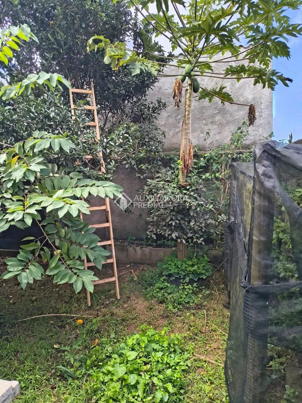 LINDA CASA DE 60 M2 COM 1 DORMITÓRIOS NO BAIRRO ARAÇATUBA, IMBITUBA SC - Foto 4