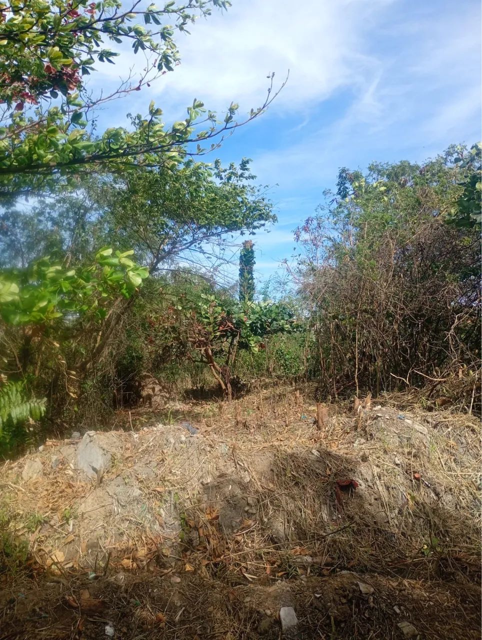 Vendo Terreno