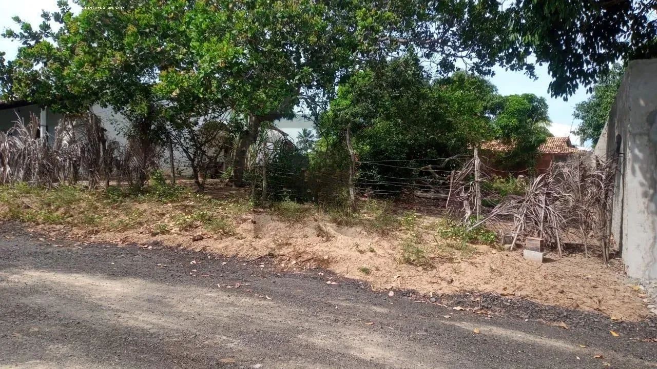 Terreno Murado à Venda de 270 m² com Escritura no Mosqueiro - Foto 3