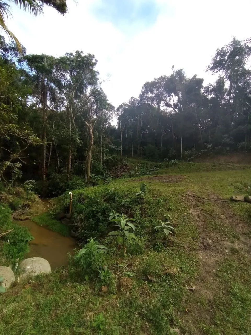 Sitio na serra Tomio - Foto 2