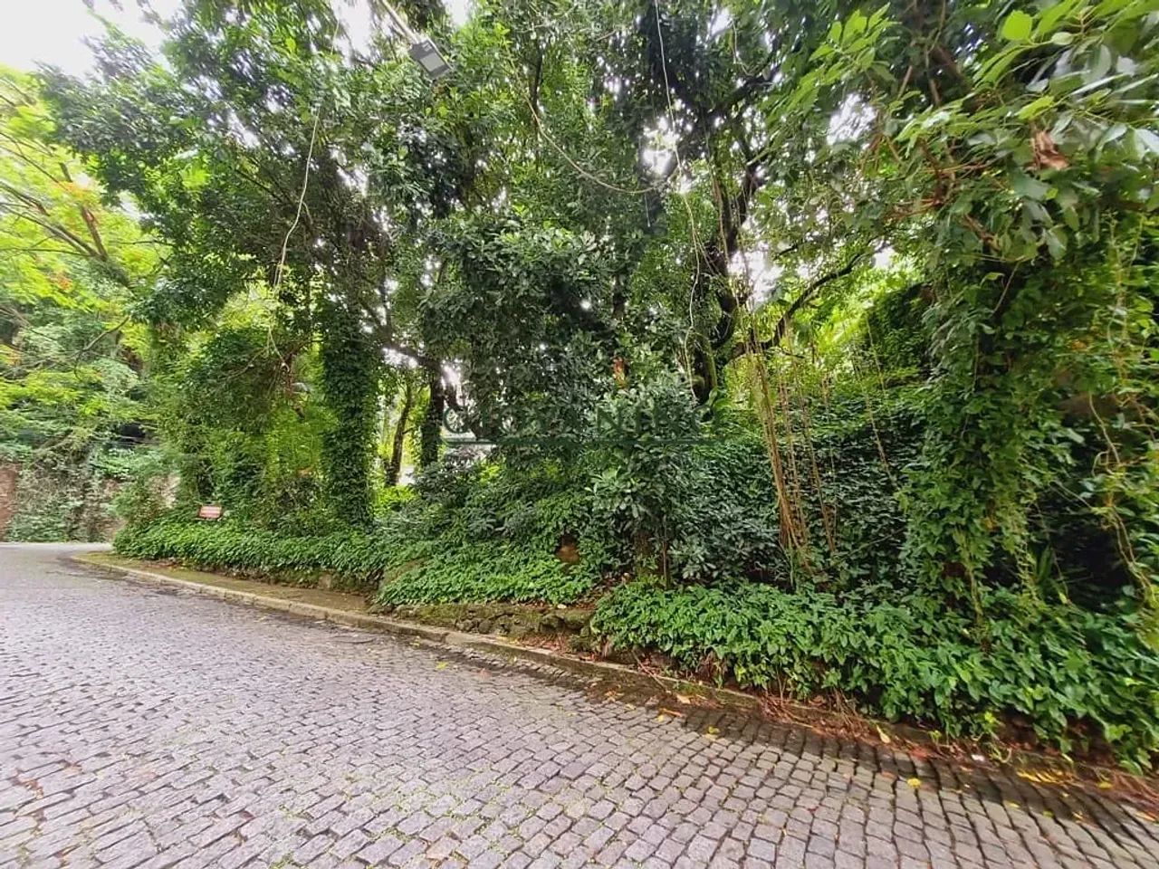 Lagoa - Terreno  Vitória Régia