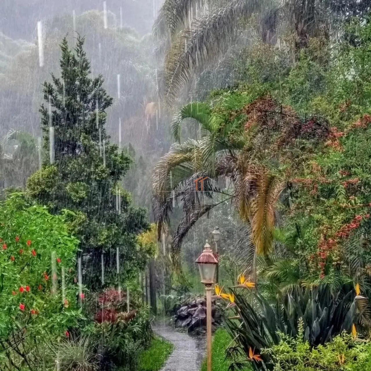 Sítio a Venda nas Águas Santas - Foto 5