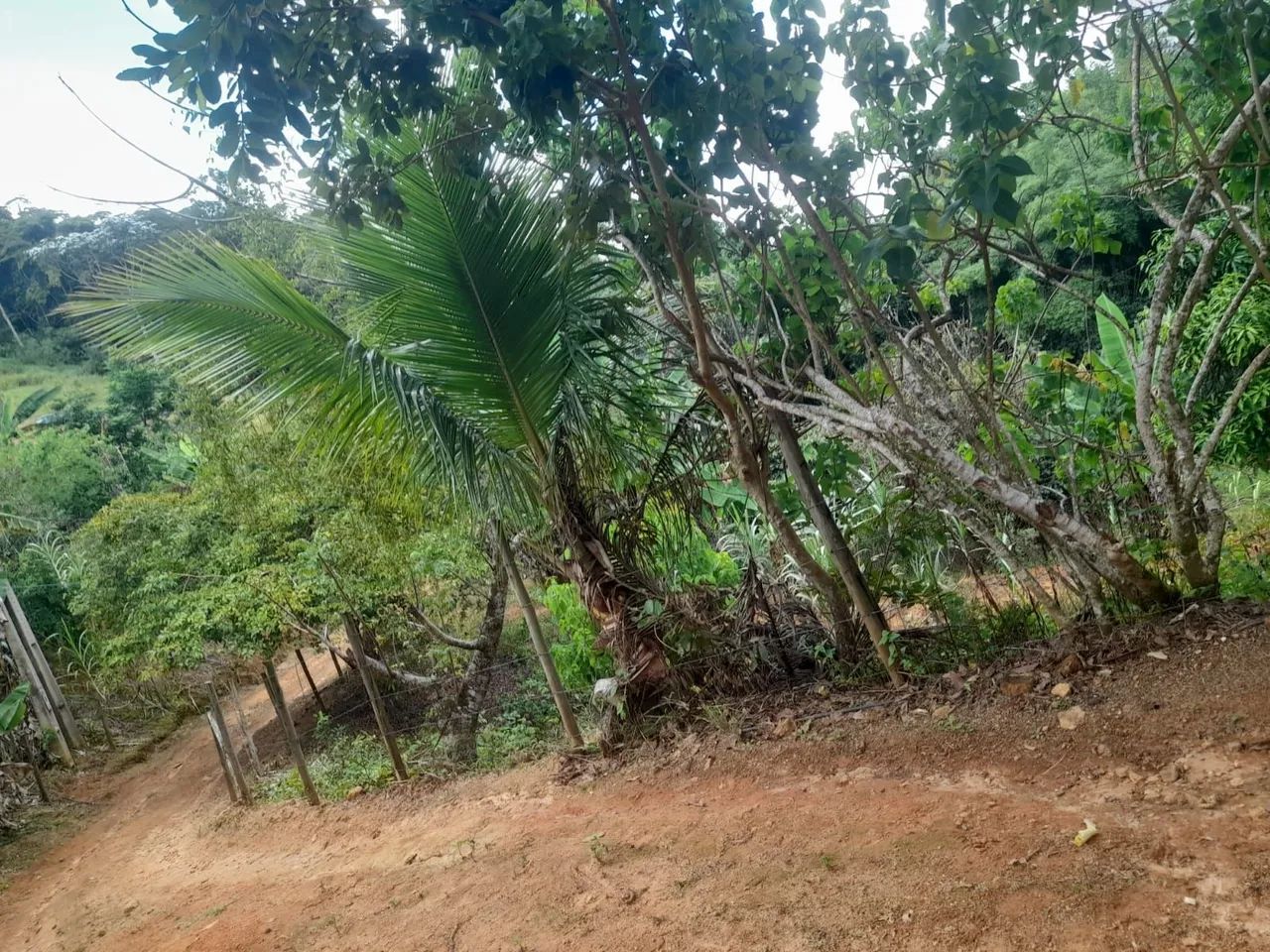 Vendo lindo terreno em Santa Teresa - Foto 2