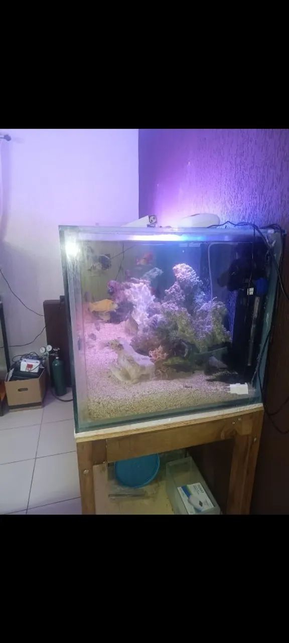 Aquário 800 litros