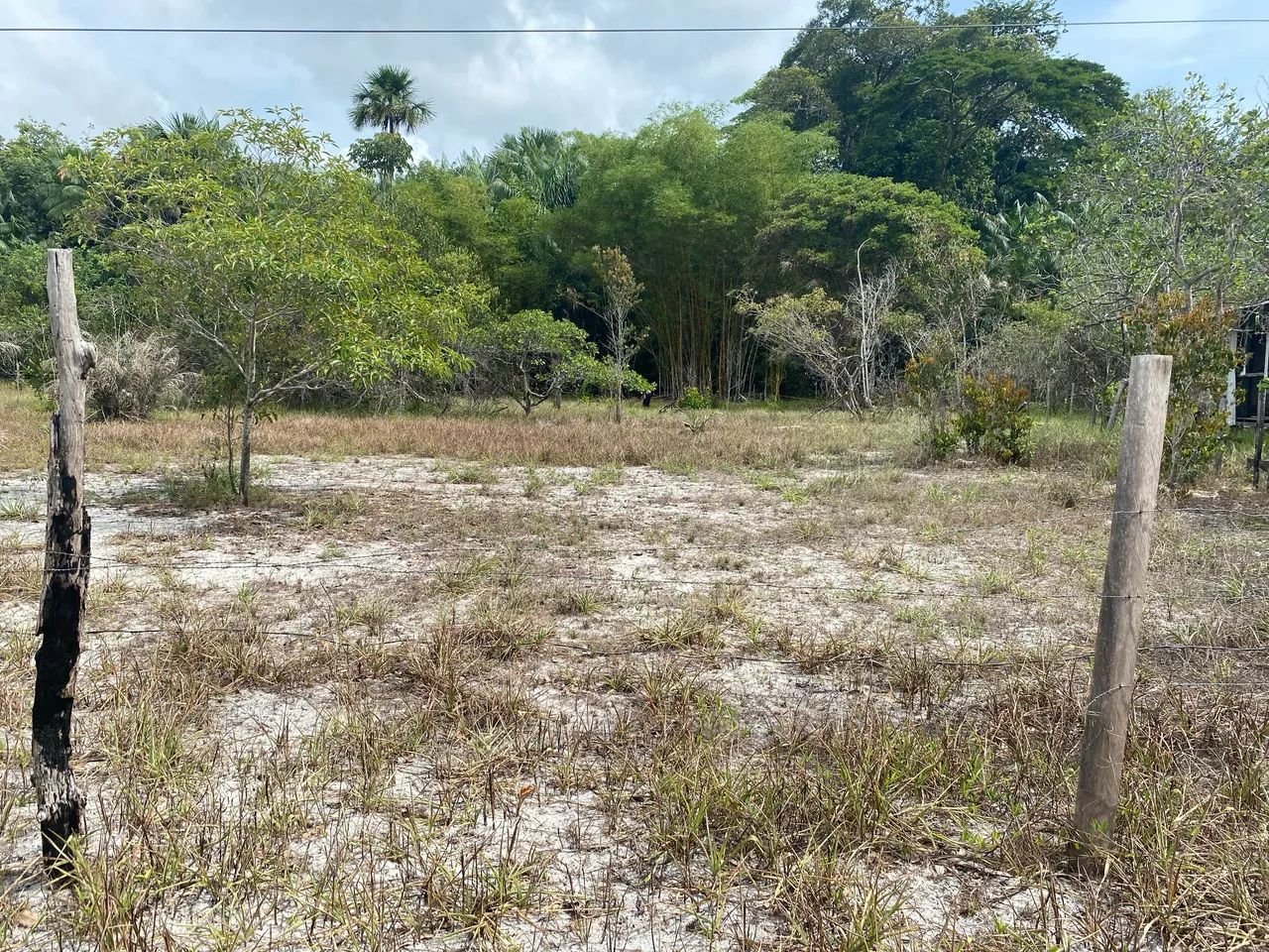 Terreno ou sítio  - Foto 2